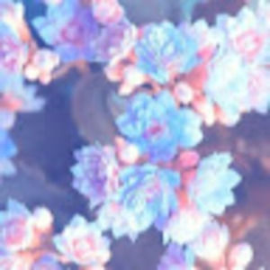 Meet your Posher, Is - 07rw 803350